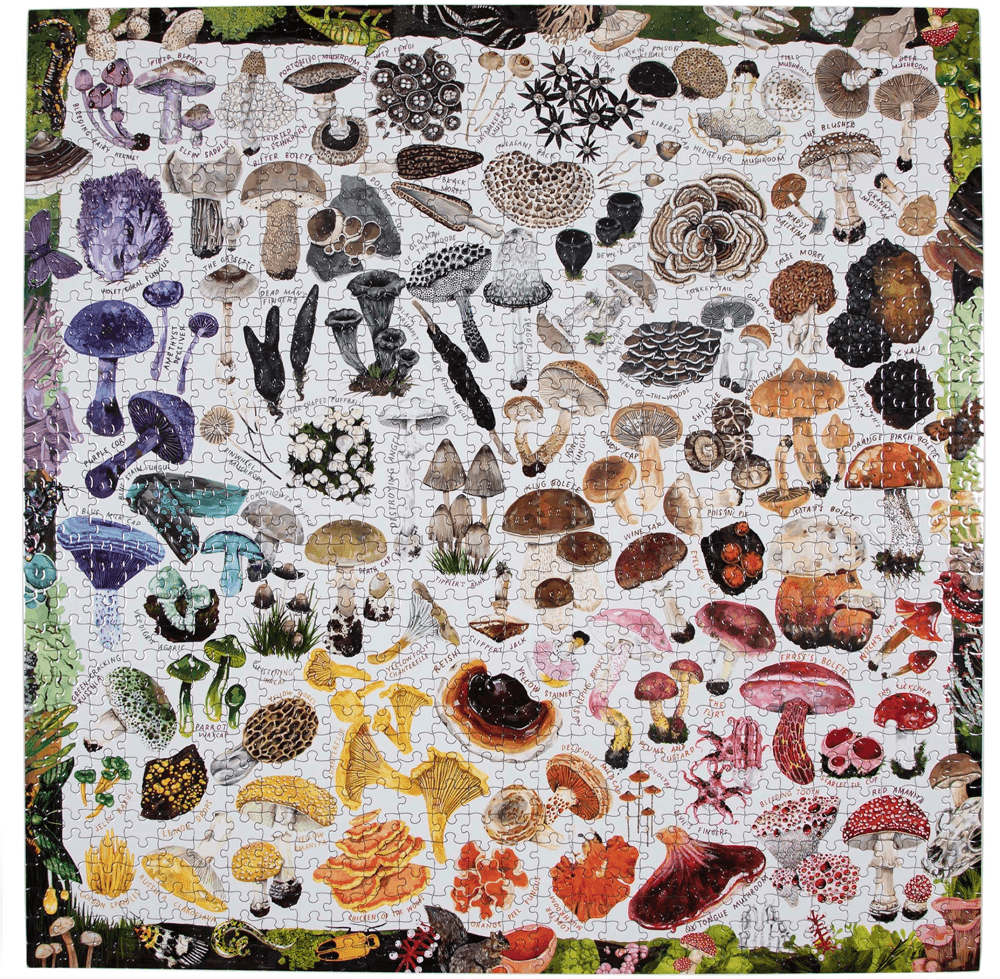 Mushroom rainbow