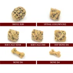 Skull & Bone Full 7 Dice Set