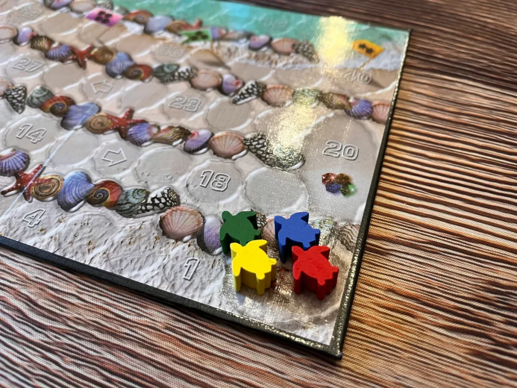 Eco: Coral Reef