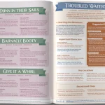 One-Shot Wonders