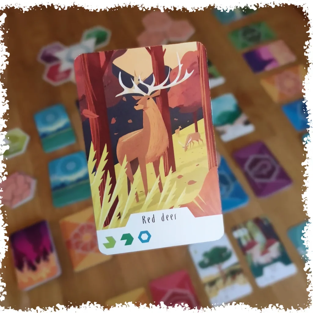 Ecosfera