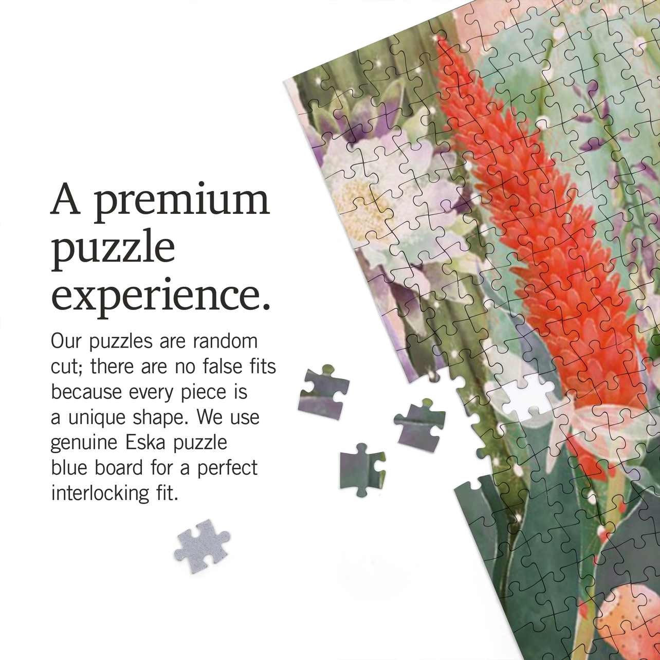 Desert Blooms Puzzle