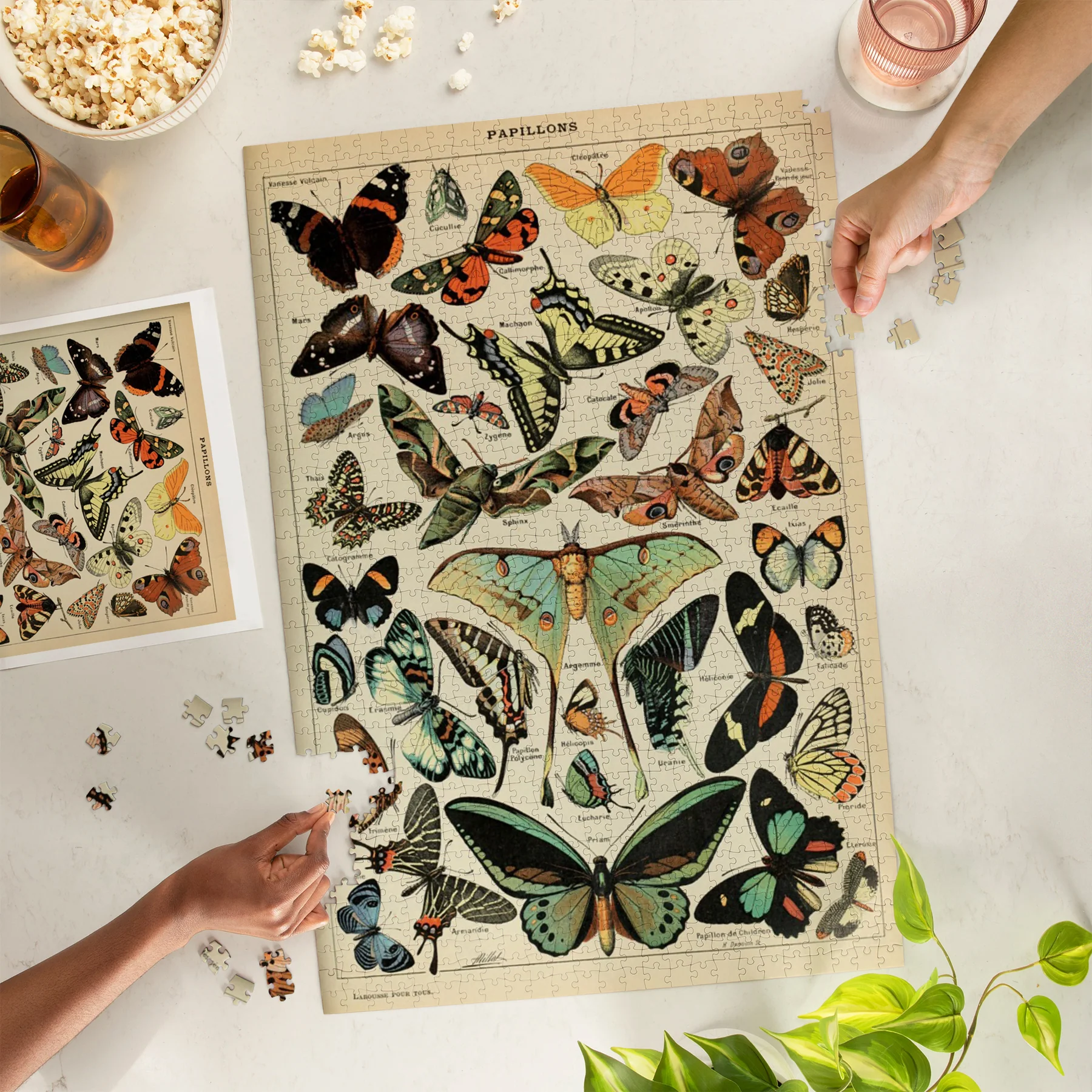 Vintage Bookplate Butterflies III Adolphe Millot Artwork Puzzle