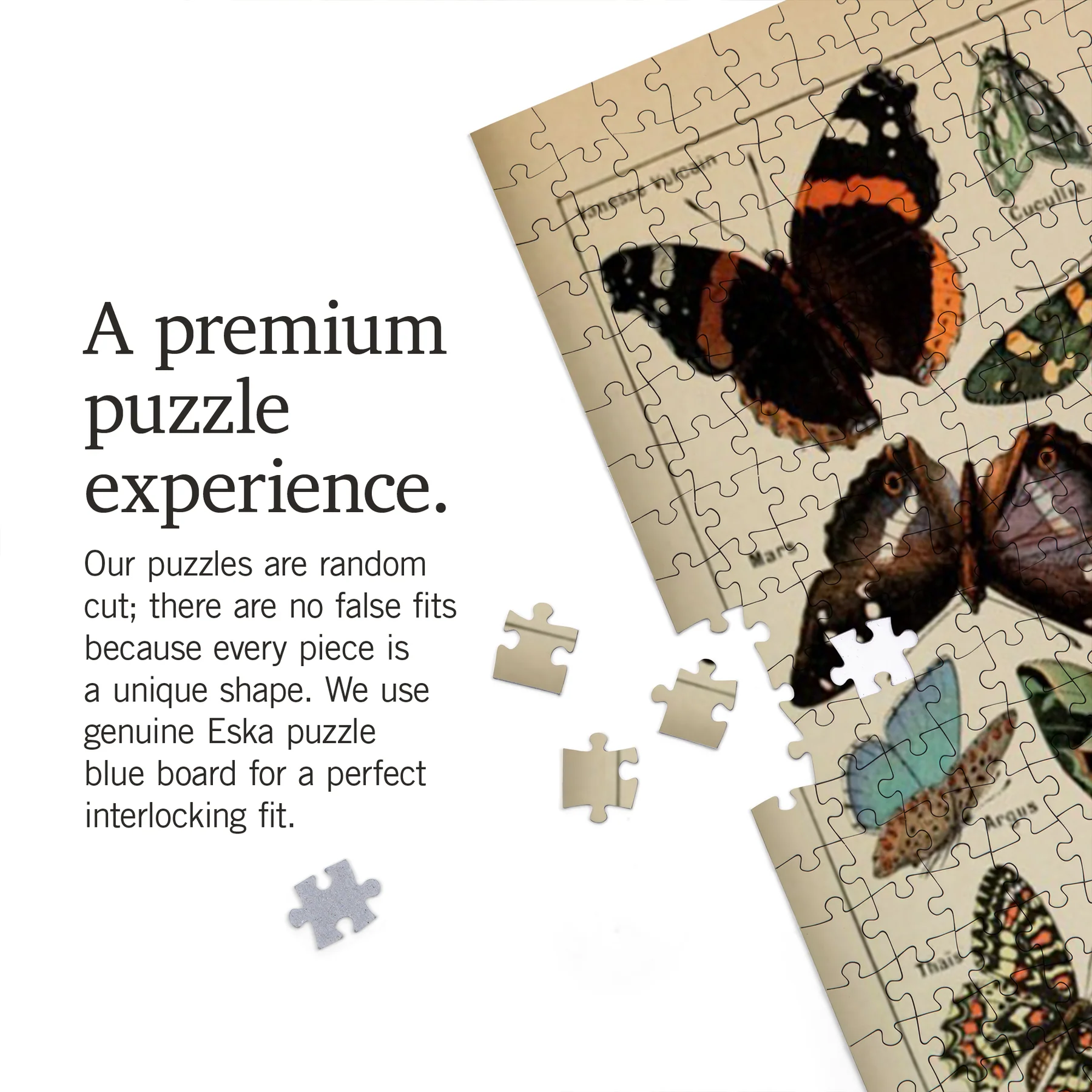 Vintage Bookplate Butterflies III Adolphe Millot Artwork Puzzle